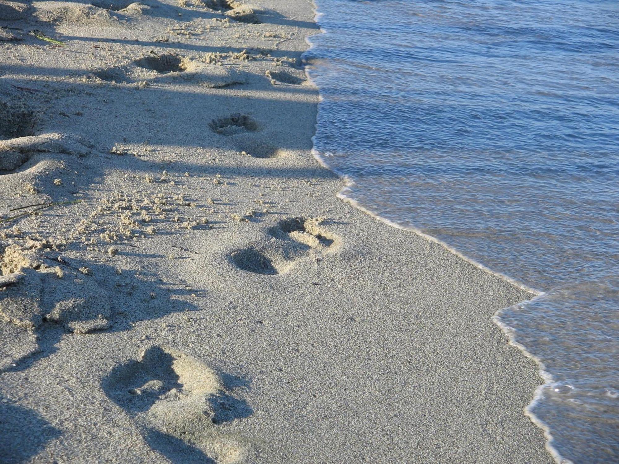 Hotel White Rose Beach Olympiakí Aktí Zewnętrze zdjęcie
